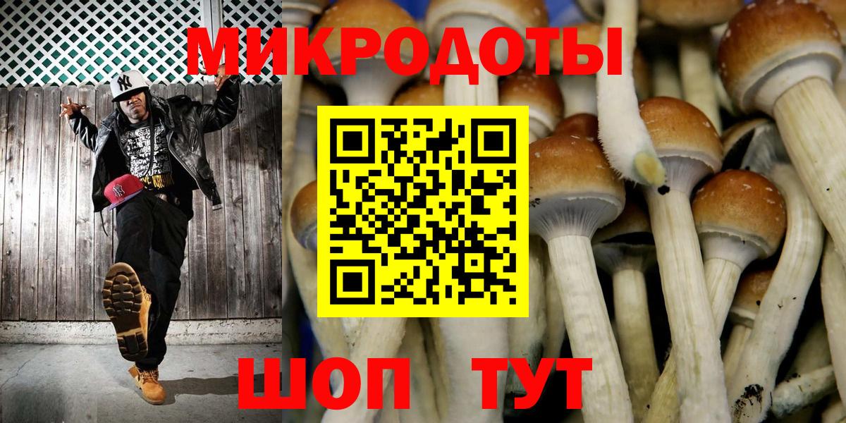 Галлюциногенные грибы Cubensis  Вход с VPN  Кропоткин 